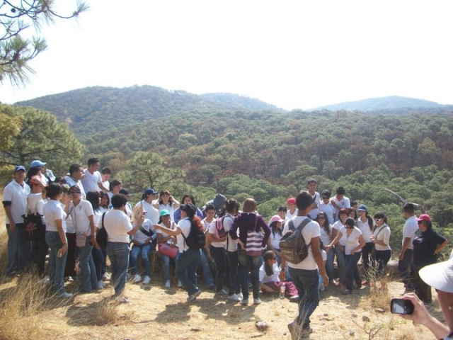 Large groups and schools 